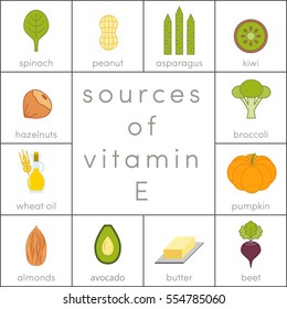 Sources of vitamin E, vector food icons for infographic