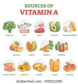 6,507 Vitamin chart Images, Stock Photos & Vectors | Shutterstock