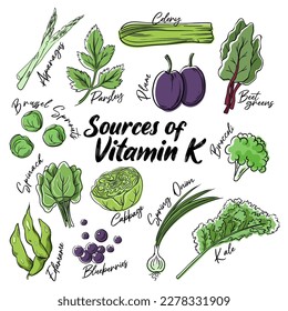 Sources of Vitamin K vector illustration