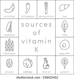 Sources of vitamin K, vector outline food icons for infographic