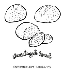 Sourdough Bread Food Sketch Separated On White. Vector Drawing Of Sourdough, Usually Known In Fertile Crescent. Food Illustration Series.