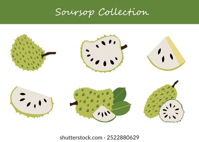 soursop em diferentes poses. Ilustração vetorial.