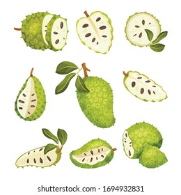 Soursop Fruit or Guanabana with Dark Green Rind Covered with Thick Thorns Vector Set
