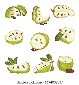Soursop Fruit or Guanabana with Dark Green Rind Covered with Thick Thorns Vector Set