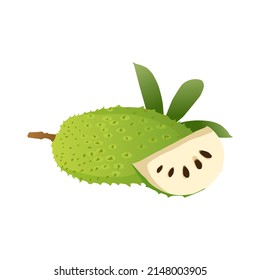soursop fruit or guanabana isolated on white background