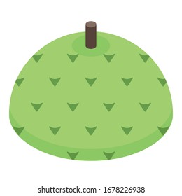 Soursop fruit icon. Isometric of soursop fruit vector icon for web design isolated on white background