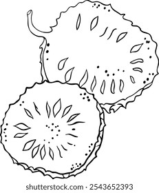 Soursop Fruit Isolated Outline Illustration