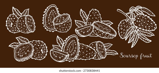 Soursop fruit outline vector set on dark brown background. Sketch of guanabana in engraving style. Set of various tropical whole fruits, halves and slices with leaves and branches.