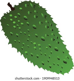 Soursop fruit vectorized for Personal and Commercial use.