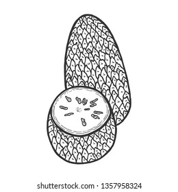 Soursop graviola guyabano annona exotic fruit sketch engraving vector illustration. Scratch board style imitation. Black and white hand drawn image.