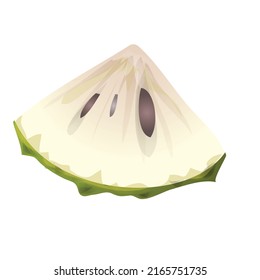 Soursop icon cartoon vector. Graviola annona. Leaf juice