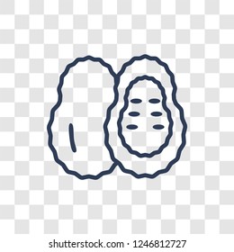 Soursop icon. Trendy linear Soursop logo concept on transparent background from Fruits and vegetables collection