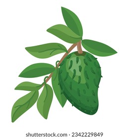 Soursop tree icon cartoon vector. Muricata juice. Fruit food