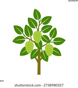 Logotipo del árbol de guanábana. Árbol de guanábana aislado sobre fondo blanco