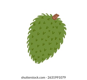 Soursop tropical exotic fruit. Graviola, guyabano. Vector hand-drawn illustration, isolated on white background.