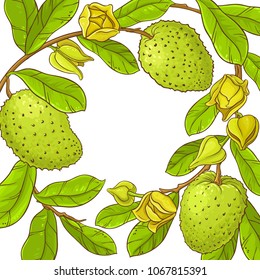soursop  vector frame
