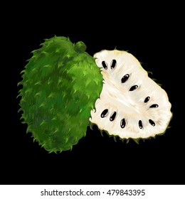 Soursop.
Vector illustration. Image flavored fruit soursop.