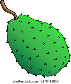 soursop vector illustration isolated on white background