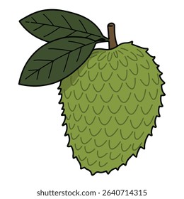 Soursop vector illustration, simple design