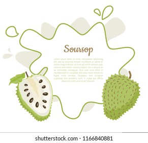 Soursop whole and cut fruit in abstract frame for text vector poster isolated on white vector. Annona montana edible medicinal plant in Annonaceae family