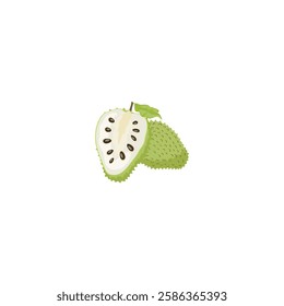 Soursop Whole and Cut Fruit Edible Plant Vector