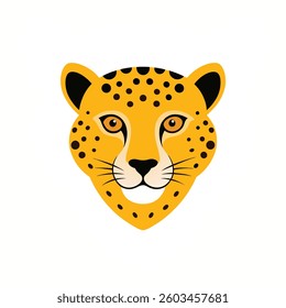 South African cheetah head  on white background