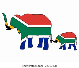 South African elephants