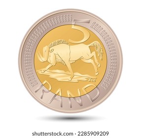 South African five rand coin, golden with silver isolated on white background. Vector illustration.