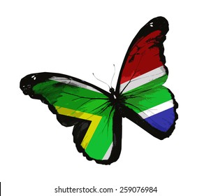 1,003 South african butterfly Images, Stock Photos & Vectors | Shutterstock