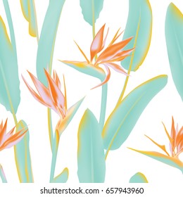 South African flowering plant, jungle leaves. Vector seamless pattern with Strelitzia Reginae blossom also known as crane flower or bird of paradise. Background illustration, fabric print, textile.