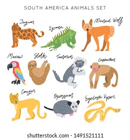 South America Animal vector illustration clipart set. Kids design posters bundle. Wild mammal drawing in scandinavian style. Handwritten lettering. Exotic wildlife. 