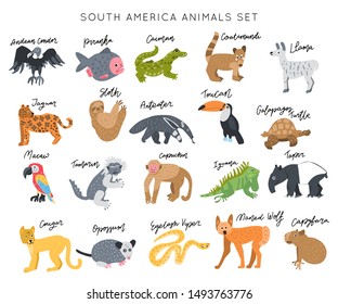 South America Animal vector illustration clipart set. Kids design posters bundle. Wild mammal drawing in scandinavian style. Handwritten lettering. Exotic wildlife. 