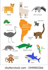 south america animals set. Anteater, parrot, llama, ostrich, jaguar, turtle, raccoon, armadillo. Zoology for children, schoolchildren, preschoolers. flat Vector