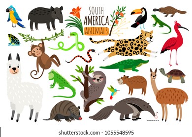 Animales sudamericanos. Caricatura vectorial guanaco e iguana, hormiguero y ocelot, tapir y armadillo aislados en fondo blanco