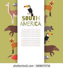 South america, banner inscription, animals background information, cute wildlife wild jungle, design cartoon vector illustration. Living amazing nature continent, diverse zoo, beautiful birds, mammals