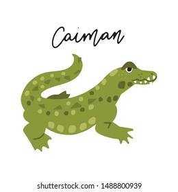 South America Caiman Animal vector illustration clipart. Kids design poster. Wild animal drawing in scandinavian style. Handwritten lettering. Exotic wildlife. 