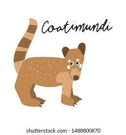 South America Coatimundi Animal vector illustration clipart. Kids design poster. Wild mammal drawing in scandinavian style. Handwritten lettering. Exotic wildlife. 