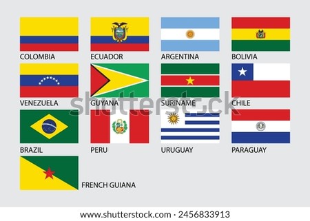 south america country flag vector