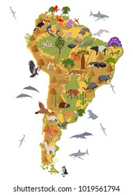 South America flora and fauna map, flat elements. Animals, birds and sea life big set. Build your geography infographics collection. Vector illustration