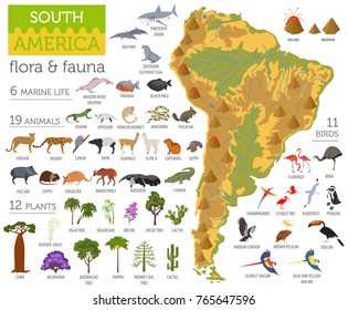 South America flora and fauna map, flat elements. Animals, birds and sea life big set. Build your geography infographics collection. Vector illustration