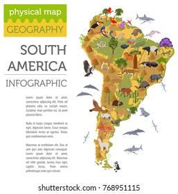 South America flora and fauna map, flat elements. Animals, birds and sea life big set. Build your geography infographics collection. Vector illustration