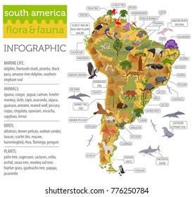 South America flora and fauna map, flat elements. Animals, birds and sea life big set. Build your geography infographics collection. Vector illustration