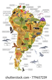 South America flora and fauna map, flat elements. Animals, birds and sea life big set. Build your geography infographics collection. Vector illustration