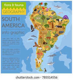 South America flora and fauna map, flat elements. Animals, birds and sea life big set. Build your geography infographics collection. Vector illustration