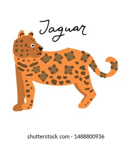 South America Jaguar Animal vector illustration clipart. Kids design poster. Wild mammal drawing in scandinavian style. Handwritten lettering. Exotic wildlife. 