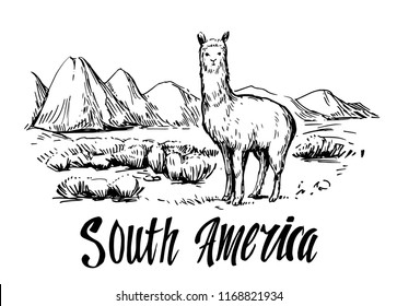 South America landscape with alpaca. Hand drawn sketch converted to vector. 