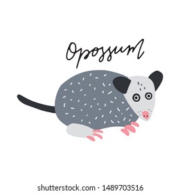 South America Opossum Animal vector illustration clipart. Kids design poster. Wild mammal drawing in Scandinavian style. Handwritten lettering. Exotic wildlife. 