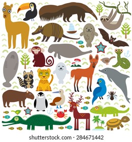 South America sloth anteater toucan lama bat fur seal armadillo boa manatee monkey dolphin Maned wolf raccoon jaguar Hyacinth macaw lizard turtle crocodile deer penguin  booby Capybara. Vector