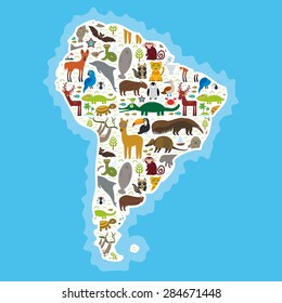 South America sloth anteater toucan lama bat fur seal armadillo boa manatee monkey dolphin Maned wolf raccoon jaguar Hyacinth macaw lizard turtle crocodile deer Blue-footed booby Capybara. Vector