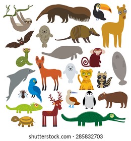 South America sloth anteater toucan lama bat fur seal armadillo boa manatee monkey dolphin Maned wolf raccoon Hyacinth macaw lizard turtle crocodile deer penguin Blue-footed booby. Vector 